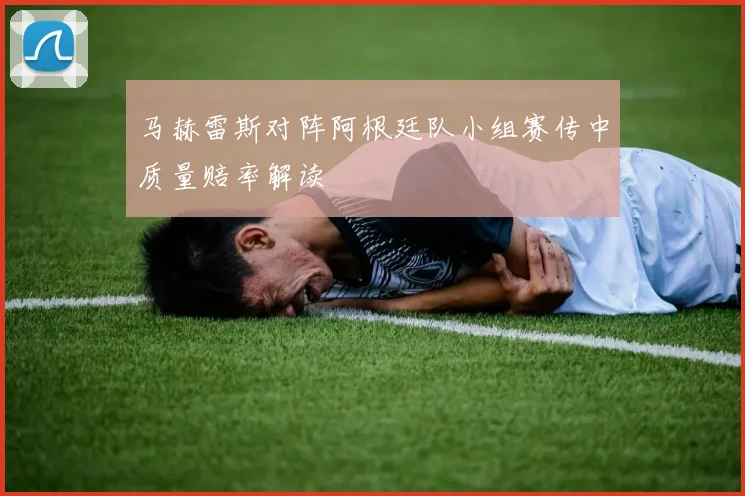 马赫雷斯对阵阿根廷队小组赛传中质量赔率解读