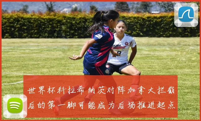 世界杯科拉希纳茨对阵加拿大拦截后的第一脚可能成为后场推进起点