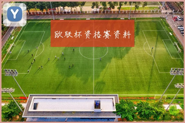 欧联杯资格赛资料